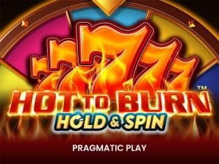Hot to Burn Hold and Spin game thumbnail